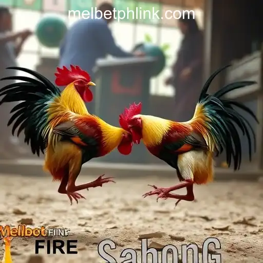 Gaming Experience MelBet Online Casino Philippines - 800+ Premium and Exclusive Games